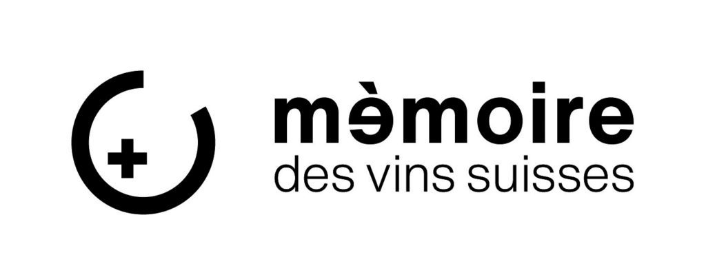 Logo: mdvs