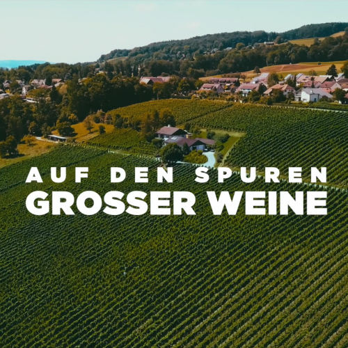 Auf den Spuren grosser Weine